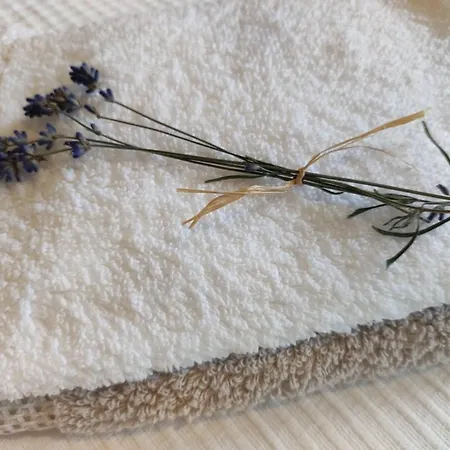 Flandesbach * ולברט